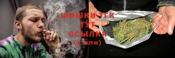 хмурый Вяземский