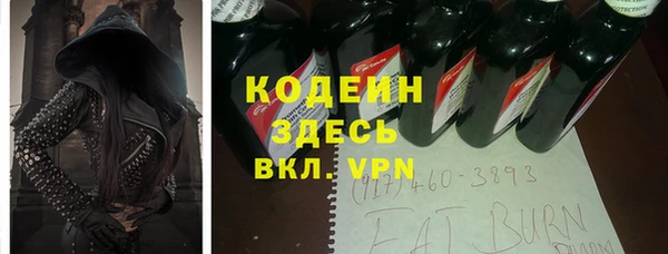 хмурый Вяземский