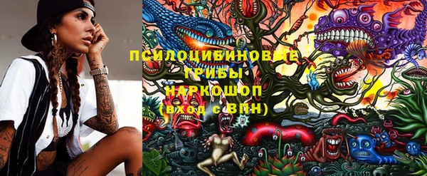хмурый Вяземский