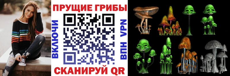 Купить где  Луга  Псилоцибиновые грибы Cubensis 
